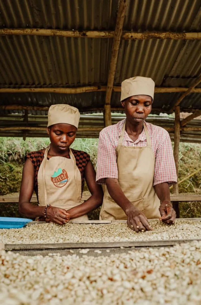 [object Object],[object Object]