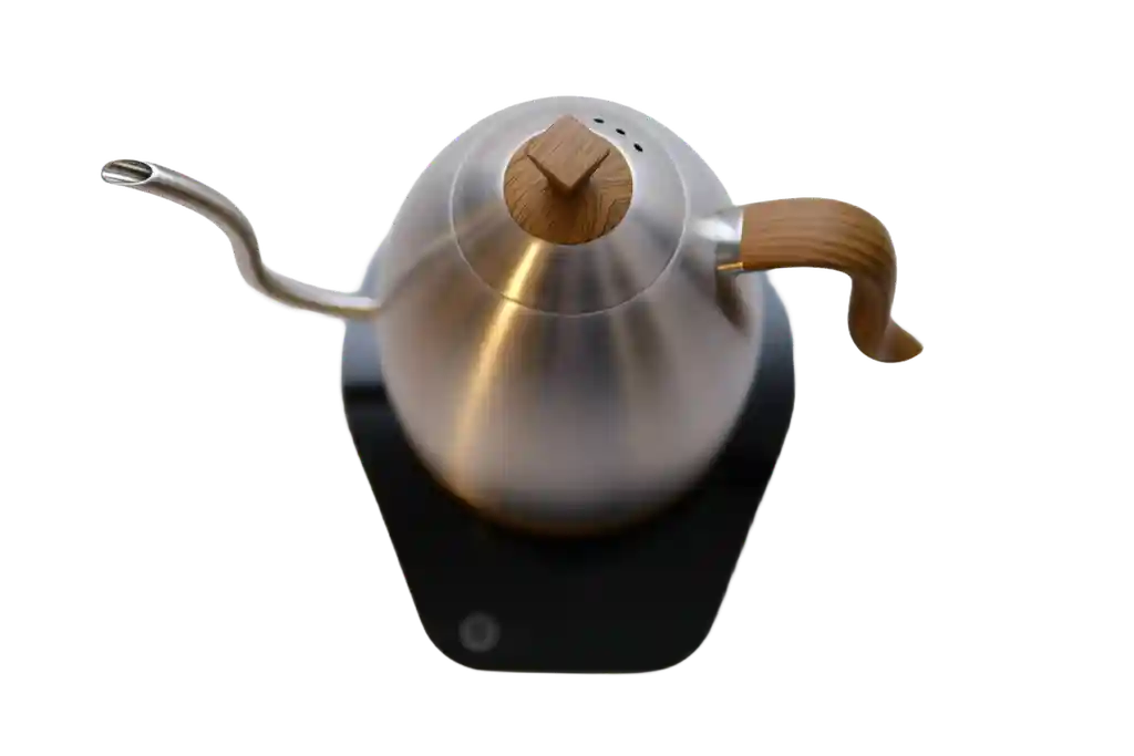 Brewista Artisan 1.0L Gooseneck Variable Kettle from the top