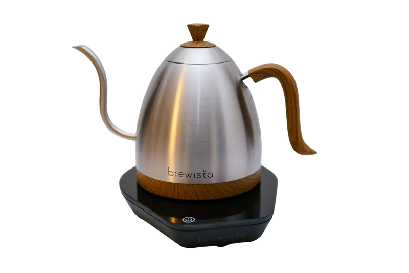 Brewista Artisan 1.0L Gooseneck Variable Kettle