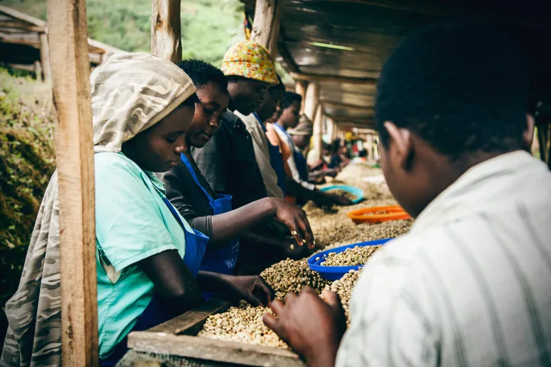 [object Object],[object Object]