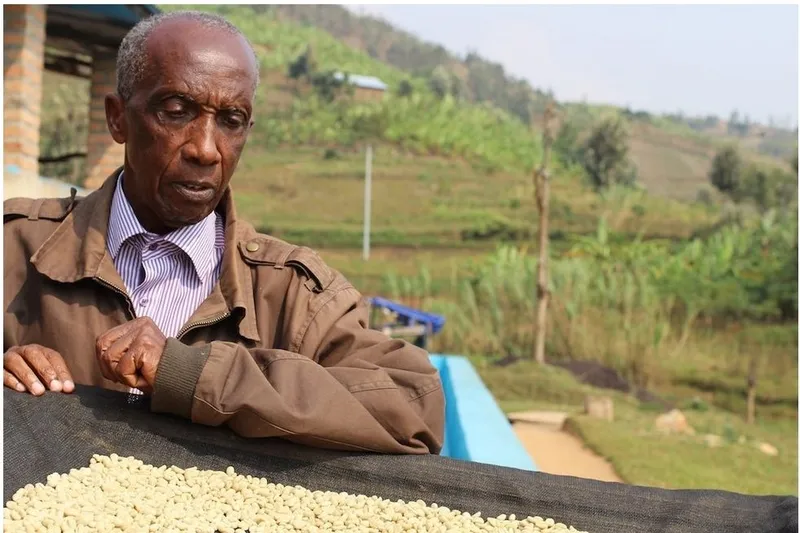 Alexis Gahizi inspecting the coffee